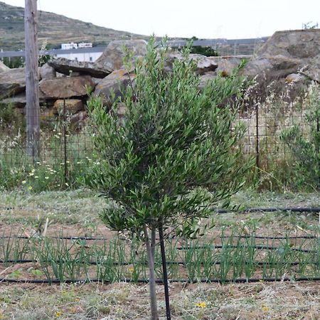 Apartmán Ktima Panagia Glinado Naxos Exteriér fotografie